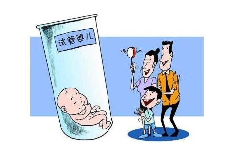 供卵代怀公司